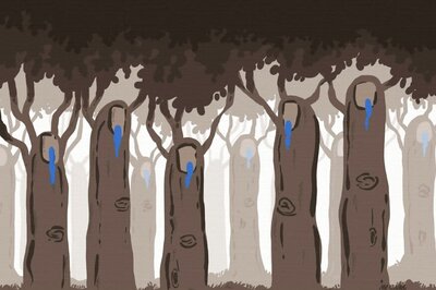 'Misled' Tribals Try to Take Possession of Forest Lands in Gujarat, Arrested