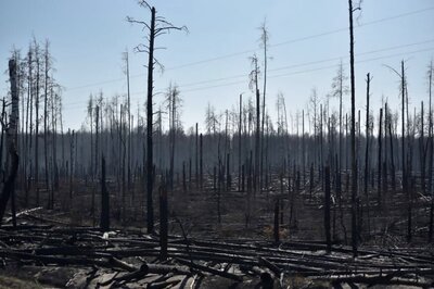 Fires Near Chernobyl Nuclear Plant Make Kiev Air Most Polluted in the World