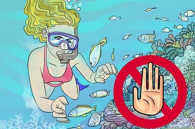 How to Protect Coral Reefs when Snorkeling