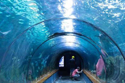 Sea Tunnel Aquarium in Bengaluru Offers 360 Degree Perspective into Marine Life