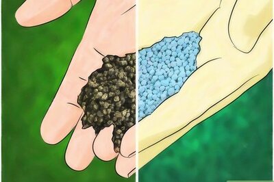 How to Know What Fertilizer to Use On Your Garden Plants and When to Use It