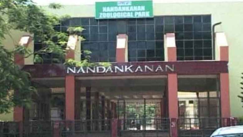 Elephant Day celebrated at Nandankanan Zoo