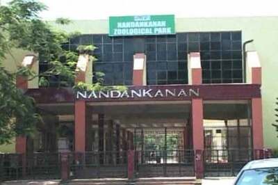 Elephant Day celebrated at Nandankanan Zoo