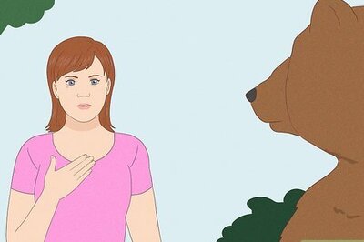 How to Survive a Bear Attack