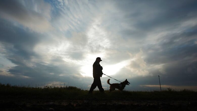 Thing to Keep in Mind While Travelling With Your Pet