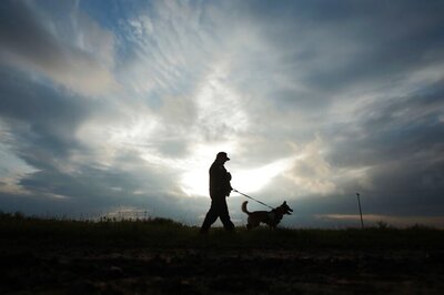 Thing to Keep in Mind While Travelling With Your Pet