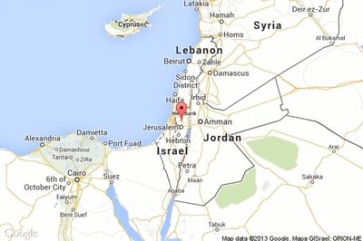 Israel frees Palestinian hunger strike icon Samer Essawi