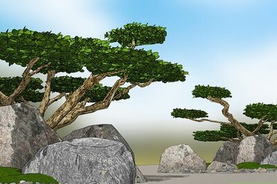 How to Build a Japanese Garden