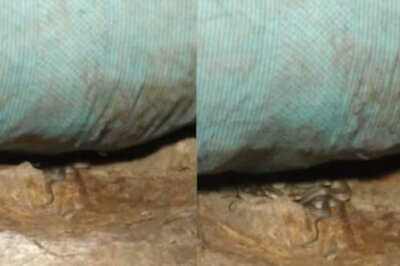 Man Hears Hissing Sound From Underneath A Sack. Here's What Happened Next