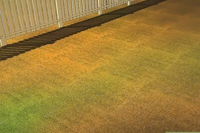 How to Tell if Your Lawn Needs Lime and What to Do About It