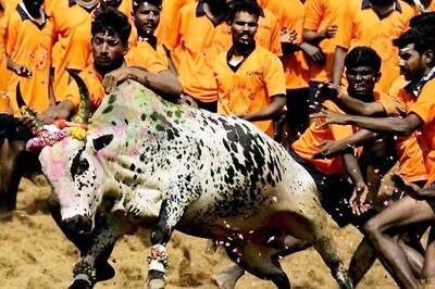 SC Ruling on Jallikattu Violated in Cuddalore