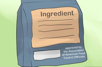 How to Understand Cat Food Labels