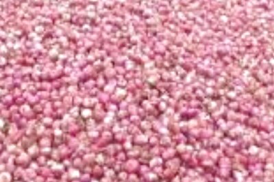 Kurnool Onion Farmers Appeal For Govt Support Amid Price Drop And Heavy Rains