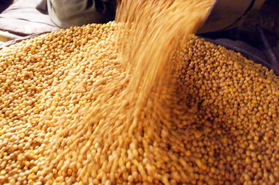 Chana Dal: The Latest Entry in Oxford English Dictionary