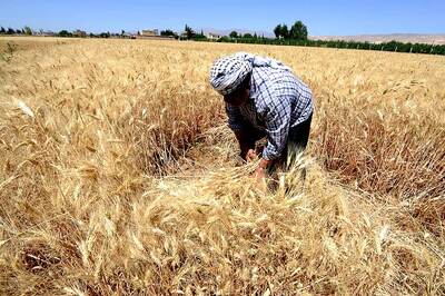 Opinion | From Maharashtra to MP to Rajasthan: Govt clears farm loan waiver after massive protests. What next?
