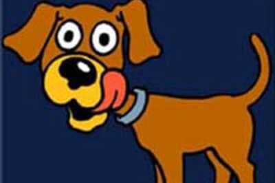 Dog reunites with family after 6 yrs