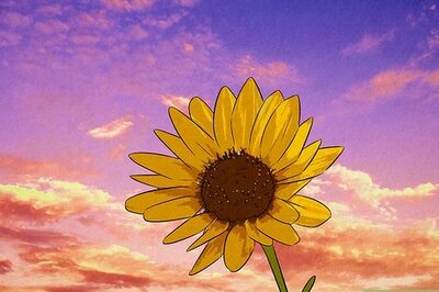 Here's Leo's Official Zodiac Flower (Plus 4 Dazzling Alternatives)