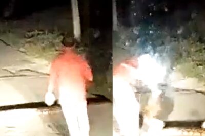 Viral Video of Man Moving Giant Snake With His Bare Hands Leaves Internet Divided