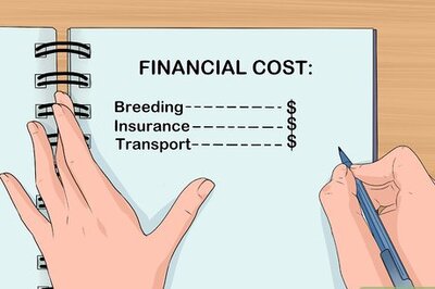 How to Breed a Horse