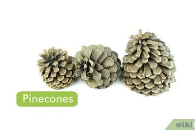 How to Make Christmas Tree Pinecones