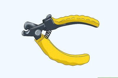 How to Trim a Chicken's Nails