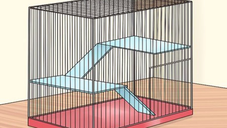 How to Keep Chinchillas Safe from other Pets