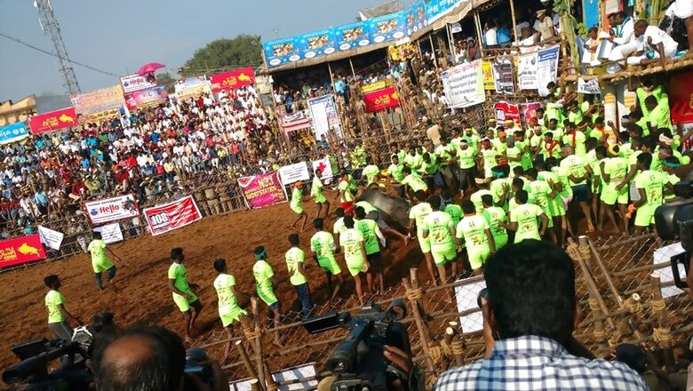Lots of Gifts, Politics And 3 Deaths: Jallikattu Report Card in 2018