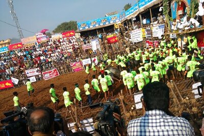 Lots of Gifts, Politics And 3 Deaths: Jallikattu Report Card in 2018