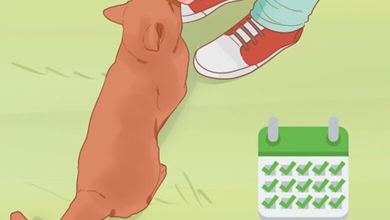 How to Keep Your Pets Happy