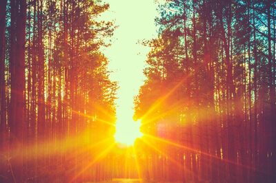 Aaj Ka Panchang, January 17, 2024: Tithi, Vrat, and Today’s Shubh, Ashubh Muhurat