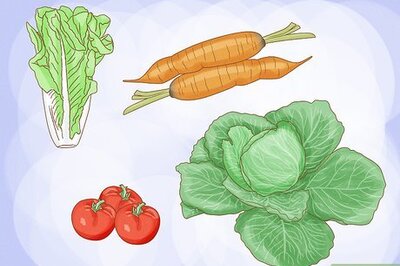 How to Create a Vegetable Garden