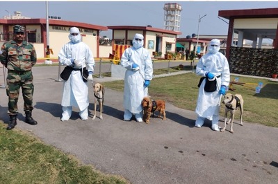 Study Sheds Light on How Coronavirus May Hijack Human Cells