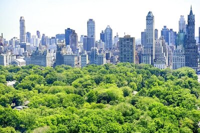 New York to Ban Cars from Manhattan's Central Park
