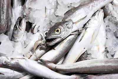 Consuming Fish Could Increase Risk of ALS