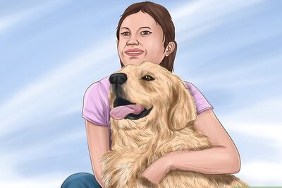 How to Comfort Your Dog