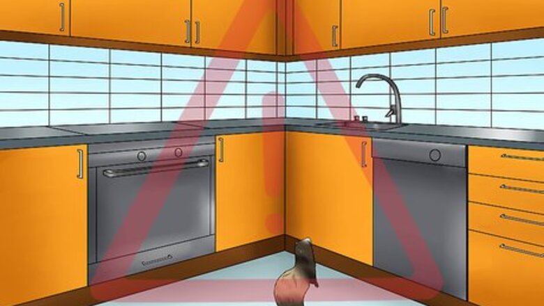 How to Ferret Proof a House