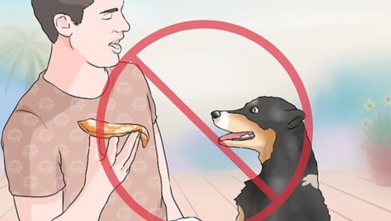 How to Handle Dog Begging for Food