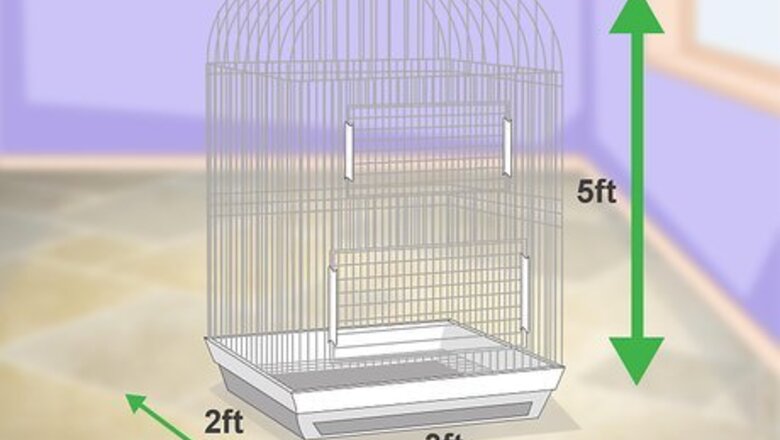How to Set Up a Macaw Habitat