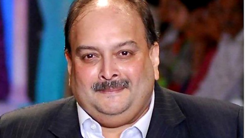 ED Rejects Mehul Choksi's Plea to Be Questioned in Antigua, Says 'Needs to Return' to India