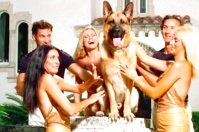 There's More To The Story Of The World’s Richest Dog Than Meets The Eye