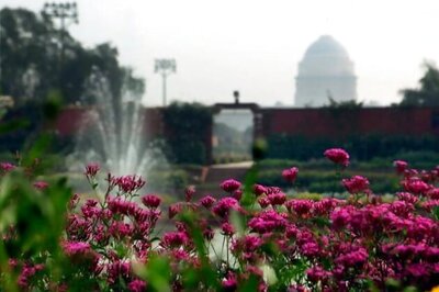 Delhi: Mughal Garden opens for public from February 13