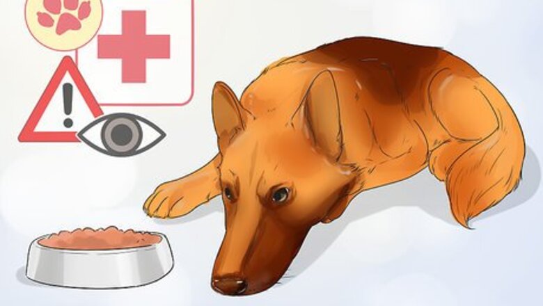 How to Improve the Appetite of an Older Dog