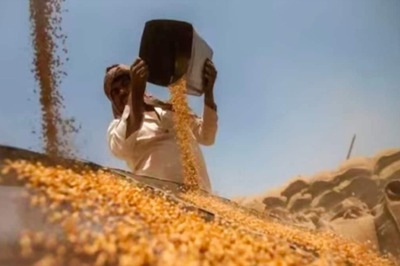 India Could Sell More Wheat In Open Market To Calm Prices