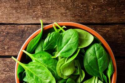 Spinach Can Turn Harmful if Consumed in Excess