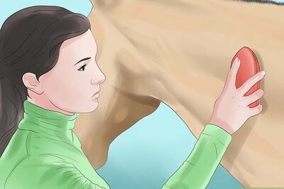 How to Prepare for a Horse Show