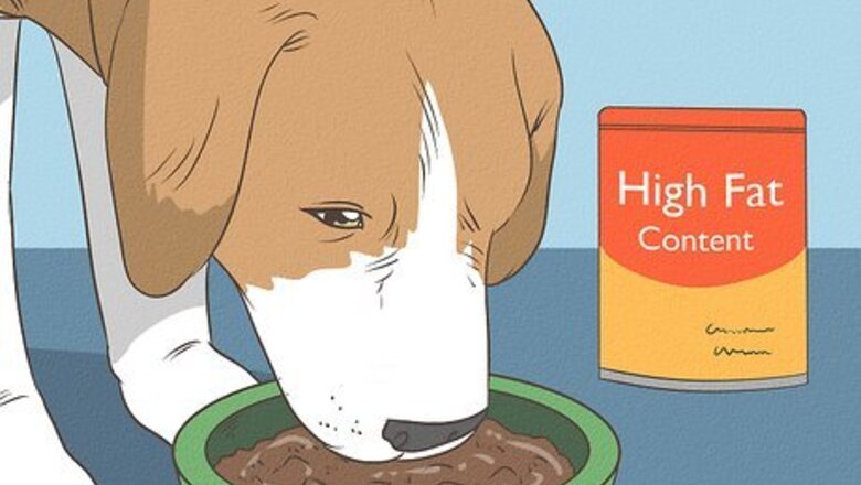 How to Help a Mother Dog Rest