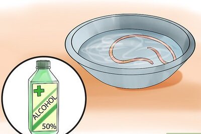 How to Dissect a Worm