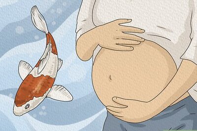 What Does it Mean to Dream of a Fish? 10 Interpretations (And What to Do)