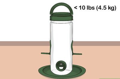 How to Tree Pulley Bird Feeders