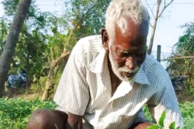 Cabinet Approves Rs 24,475 Crore Subsidy on P&K Fertilisers for Rabi Season